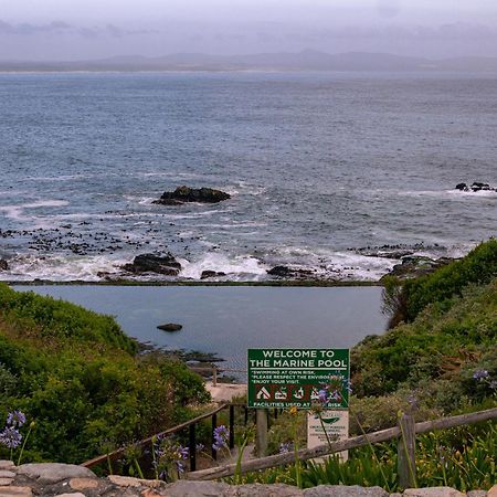 Protea&Pincushion Cottages Hermanus Exteriör bild
