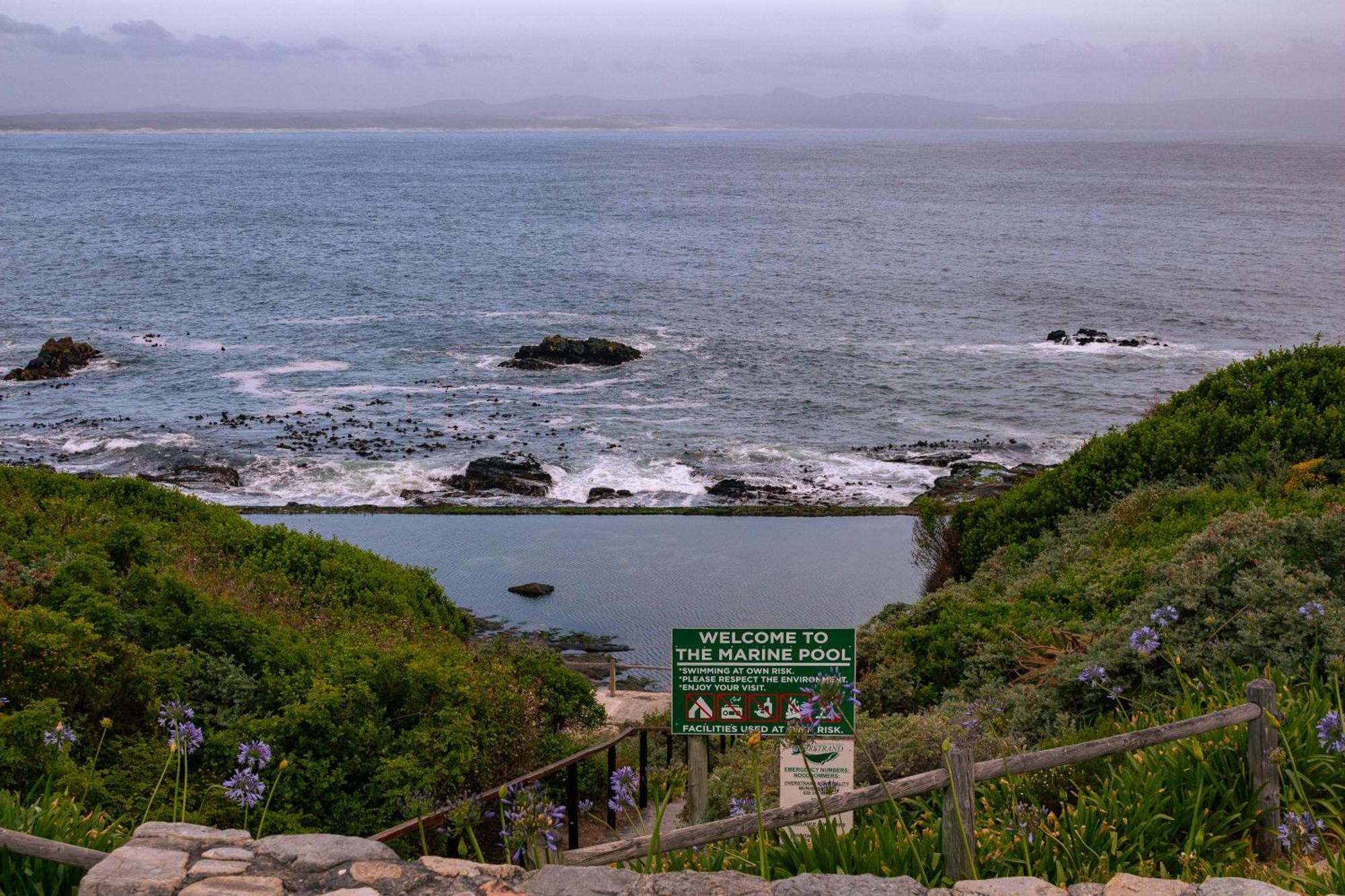 Protea&Pincushion Cottages Hermanus Exteriör bild