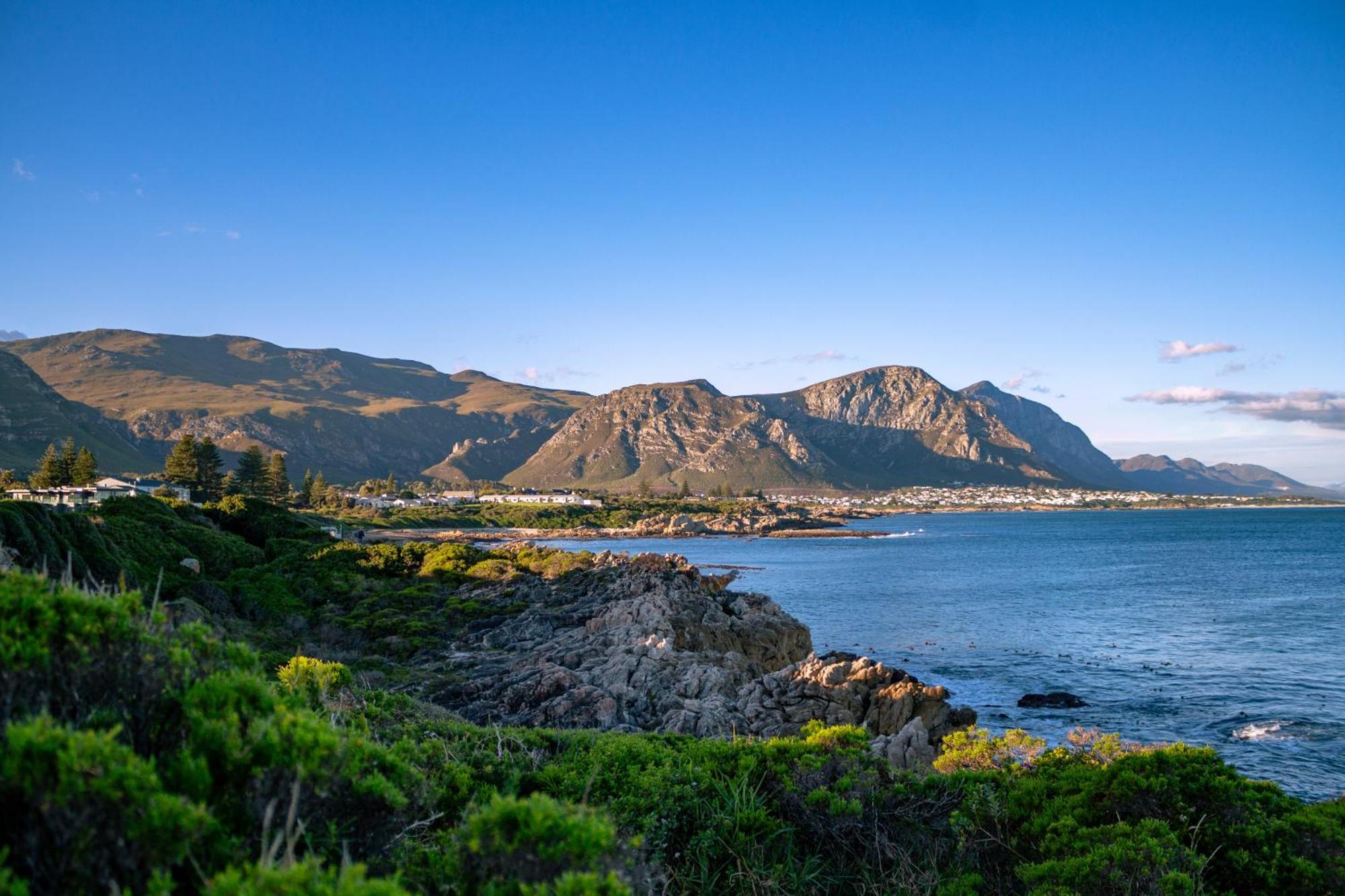Protea&Pincushion Cottages Hermanus Exteriör bild