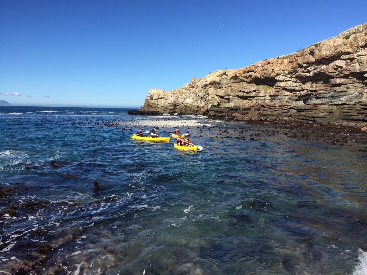 Protea&Pincushion Cottages Hermanus Exteriör bild